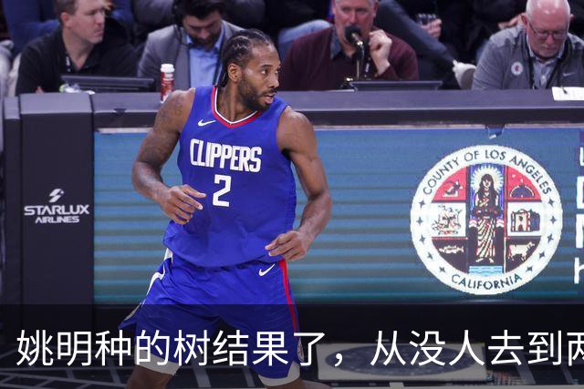 姚明种的树结果了，从没人去到两位数留洋，年轻人治好男篮老毛病